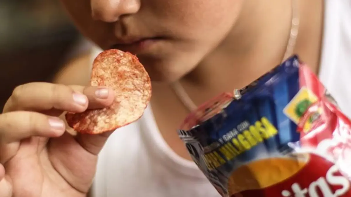 Comida Chatarra_Obesidad_Papas_Frituras_Galletas_Azucar_Azucarados (16)